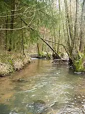 Das Ohrntal bei Schuppach