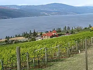 Der Okanagan Lake