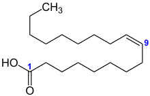 Struktur von Ölsäure