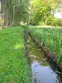 Olfe in Ahlen