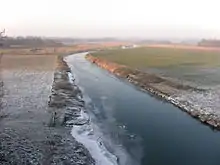 Steveraue in Olfen