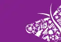 Flagge der Gemeinde Oost Gelre