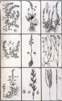 Tab. 12