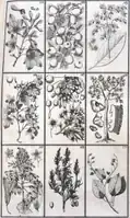 Tab. 19