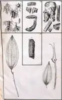 Tab. 20