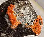 Hellorange Vanadinit-Kristalle aus der Pure Potential Mine, Arizona (Bildbreite ca. 15 mm)