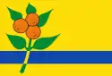 Flagge des Ortes Oranjewoud