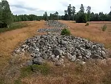 Rösen auf Orraryds gravfält