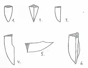 Ortformen:1. Mittelspitze2. Mittelspitze, aber bezeichnet als Karpfenzungenspitze3. Grootspitze4. Grootspitze mit Jelman5. Pandurenspitze6. Steckrückenspitze mit Schör
