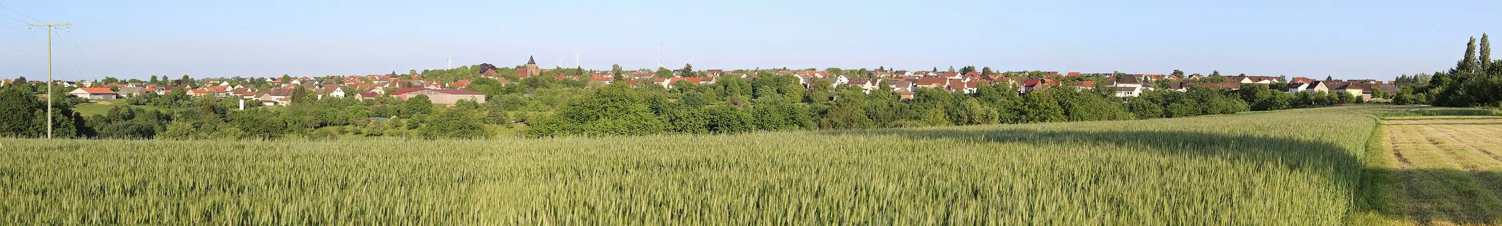 Sicht auf Vinningen von der Landesstraße&nbsp;478 in östlicher Richtung