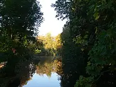 See im Garten