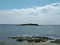 Île à Bacchus