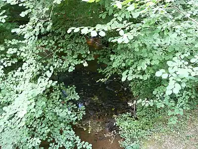 Der Périgord unterhalb von Oche