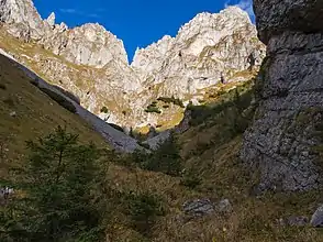 Felswände in der Schlucht