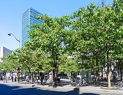 Place Jussieu mit dem Tour Zamansky im Zentrum des Quartier Saint-Victor
