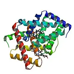 Cytoglobin