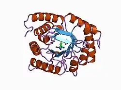 Dihydropteroate synthase type-1