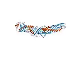 Bakterien permeabilisierendes Protein