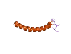 Cathelicidine