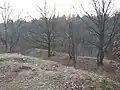 Fort I