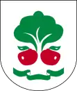 Wappen der Gmina Belsk Duży