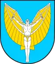 Wappen der Gmina Radgoszcz