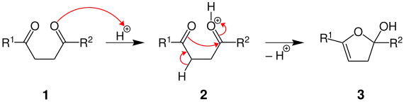 Mechanismus der Paal-Knorr-Furan-Synthese, Teil 1