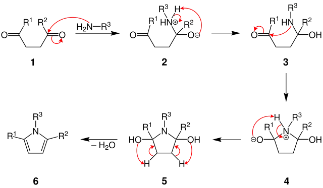 Mechanismus der Paal-Knorr-Pyrrol-Synthese
