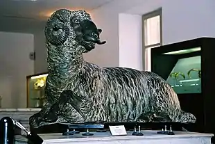 Widderskulptur im Archäologischen Museum von Palermo