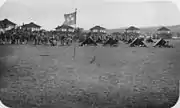 Palm Circle 1913