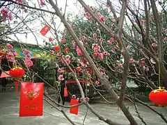 Als Baumschmuck zum Neujahr – Hongbao