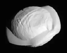Pan