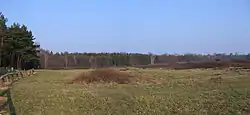 Pestruper Gräberfeld