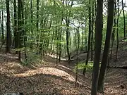 Märkische Schweiz am nordöstlichen Teil