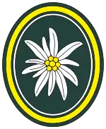 Verbandsabzeichen Panzerbrigade 24
