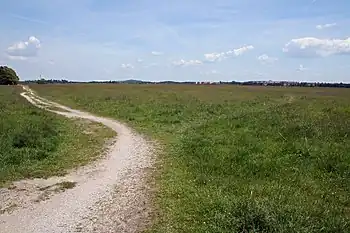 Panzerwiese