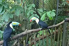 Einer und noch ein Vogel in einem Hallen-Zoo.