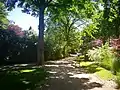 Parkimpression mit Wegführung