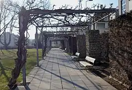 Pergola (2022)