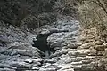 Moltrasio-Kalk