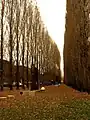 Ein Park
