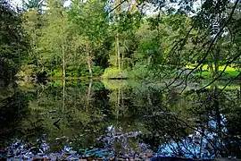 Teich im Park