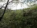 Selva Premontano im unteren Teil des Parks