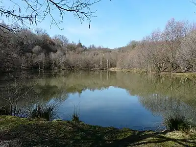 Weiher von Moulin du Chatain