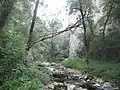 Der Karstfluss Pazinčica in der Schlucht unterhalb der Stadt