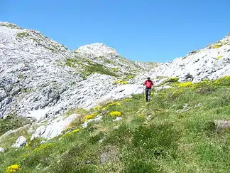 Auf der Südseite der Peña Maín, hinten in Bildmitte der höchste Gipfel, die Cabeza la Mesa