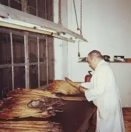 Begutachten von Rohfellen (Pelzviertel Niddastraße 1960)