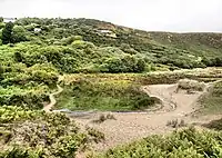 Penmaen Burrows