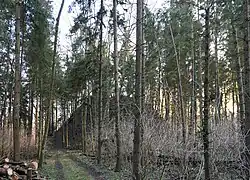 Strohberg. Kegelförmiger Hügel