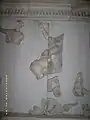 Fragmente von Nymphen und Giganten